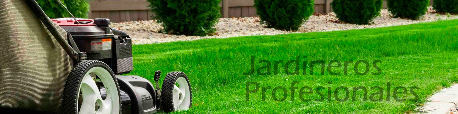 Servicio de jardineria en Madrid.