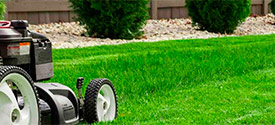 Servicio de jardineria en Madrid.